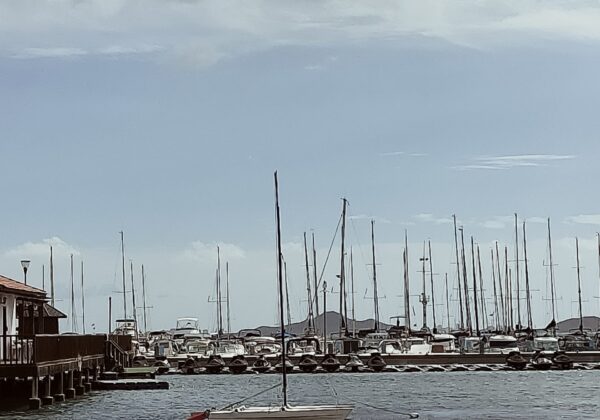 Valoracion de daños y perdidas en siniestros Navales